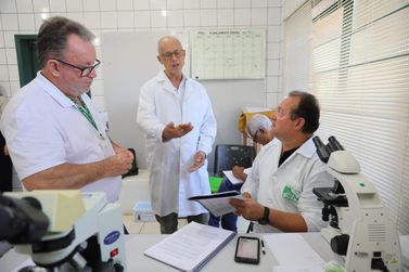 Servidores do CCZ participam de capacitação para identificar mosquito-palha