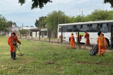 Foz do Iguaçu registra redução de 96% nos casos de dengue no começo de 2025