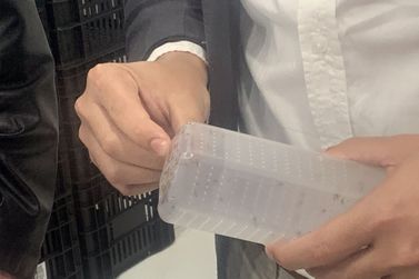 Foz do Iguaçu vai ampliar método no controle da dengue para 100% do território