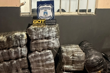Barraco usado como dep&oacute;sito de drogas escondia mais de 406 quilos de maconha