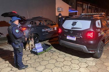 C&atilde;o farejador da Guarda Municipal encontra 25 quilos de maconha em &ocirc;nibus