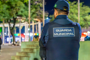 Fartal 2026 ter&aacute; seguran&ccedil;a refor&ccedil;ada e pulseiras para identifica&ccedil;&atilde;o de menores