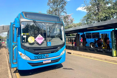 Foz ter&aacute; &ocirc;nibus gratuitos no fim de semana para regulariza&ccedil;&atilde;o do t&iacute;tulo eleitoral