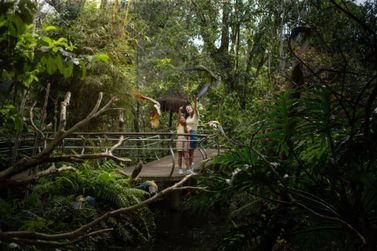 Parque das Aves ter&aacute; novo hor&aacute;rio no inverno e fechar&aacute; mais cedo a partir de 18 de maio