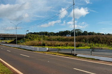 Ap&oacute;s reclama&ccedil;&otilde;es, Prefeitura assume limpeza do matagal na Perimetral Leste