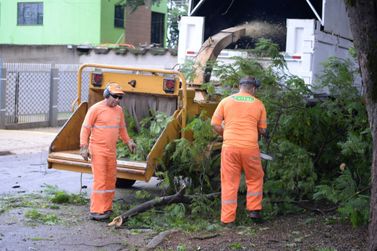For&ccedil;a-tarefa mobiliza limpeza em mais de 30 pontos da regi&atilde;o de Tr&ecirc;s Lagoas nesta semana