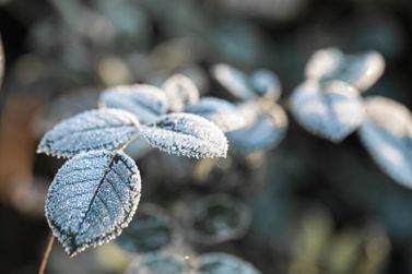 Foz do Igua&ccedil;u registra 1,3&deg;C e sensa&ccedil;&atilde;o t&eacute;rmica de 0&deg;C na manh&atilde; desta quinta-feira