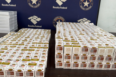 Fundo falso no para-choque de carro escondia carga de R$ 330 mil em emagrecedores 