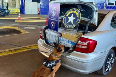 Motorista abandona ve&iacute;culo carregado de maconha e foge para o lado paraguaio 