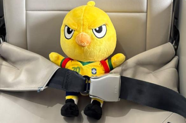Passageiros de voo para Foz do Igua&ccedil;u s&atilde;o recebidos com Canarinho da Sele&ccedil;&atilde;o