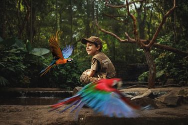 Parque das Aves abre inscri&ccedil;&otilde;es para clubinho infantil com apenas 15 vagas 