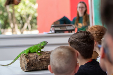 Zoo Park lan&ccedil;a experi&ecirc;ncia in&eacute;dita para ensinar sobre animais cercados por supersti&ccedil;&otilde;es