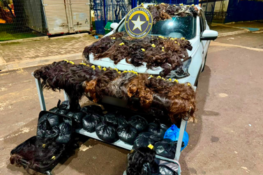 Receita Federal apreende 148 kg de cabelo humano avaliados em at&eacute; R$ 1 milh&atilde;o