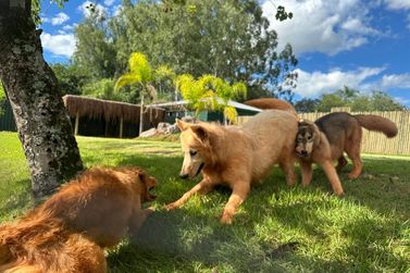 Zoo Park bate recorde hist&oacute;rico de visita&ccedil;&atilde;o com 23 mil ingressos emitidos em julho