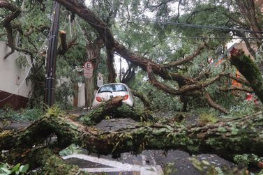 Defesa Civil se prepara para meses de chuva forte, vendavais e risco de alagamentos