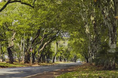 &ldquo;Domingo na Rua&rdquo; &eacute; suspenso no dia da elei&ccedil;&atilde;o e Avenida Paran&aacute; ficar&aacute; liberada