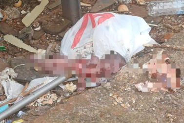 Feto &eacute; encontrado enrolado em manta em &aacute;rea de descarte de lixo em Ciudad del Este