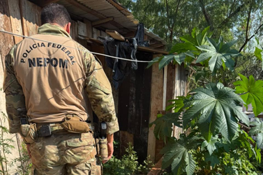 Homem foge pela mata e deixa 17,8 kg de maconha &agrave;s margens do Rio Paran&aacute;