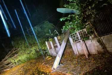  Temporal derruba &aacute;rvores, quebra postes e deixa fam&iacute;lia fora de casa em Foz do Igua&ccedil;u 