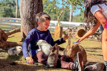 Que tal ser cuidador por um dia? Zoo Park prepara programa&ccedil;&atilde;o para crian&ccedil;as