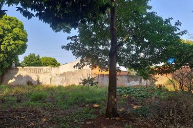 Terreno &agrave; venda - 318m&sup2; - Jardim S&atilde;o Paulo I