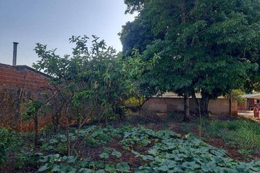 Terreno &agrave; venda - 318m&sup2; - Jardim S&atilde;o Paulo I