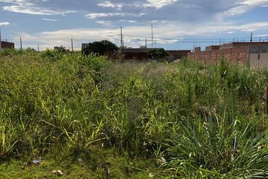 Terreno &agrave; venda - 300m&sup2; - Jardim das Oliveiras