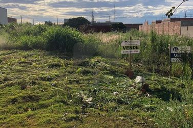Terreno &agrave; venda - 300m&sup2; - Jardim das Oliveiras