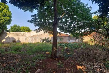 Terreno &agrave; venda - 318m&sup2; - Jardim S&atilde;o Paulo I