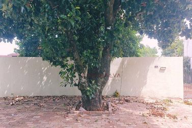 Terreno &agrave; venda - 397m&sup2; - Jardim Alice I