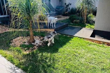 Casa &agrave; venda - 200m&sup2; - Lancaster