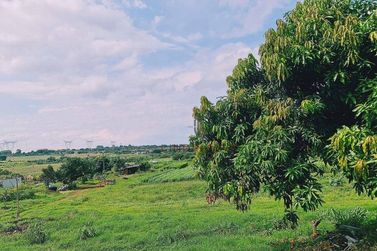 Terreno &agrave; venda - 24200m&sup2; - Loteamento Universit&aacute;rio das Am&eacute;ricas