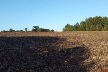 Terreno &agrave; venda - 20000m&sup2; - Im&oacute;vel Cataratas - Gleba II