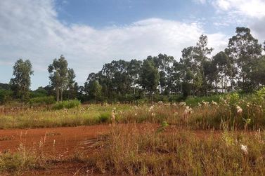 Terreno &agrave; venda - 20000m&sup2; - Jardim Polo Centro