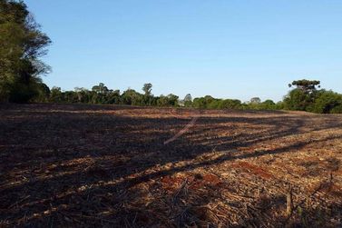 Terreno &agrave; venda - 20000m&sup2; - Im&oacute;vel Cataratas - Gleba II