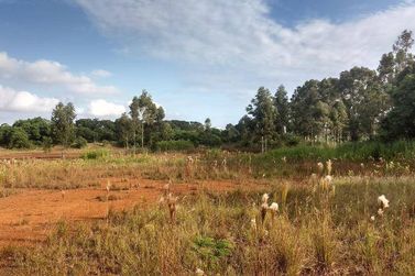 Terreno &agrave; venda - 20000m&sup2; - Jardim Polo Centro