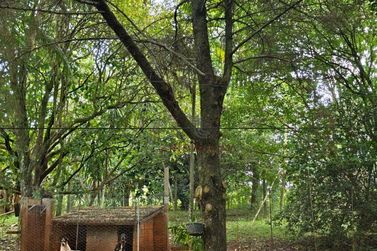 Terreno &agrave; venda - 22669m&sup2; - Im&oacute;vel Foz Do Igua&ccedil;u - Parte I