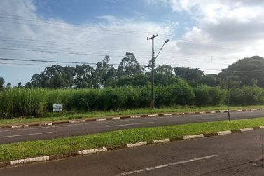 Terreno &agrave; venda - 20000m&sup2; - Jardim Polo Centro