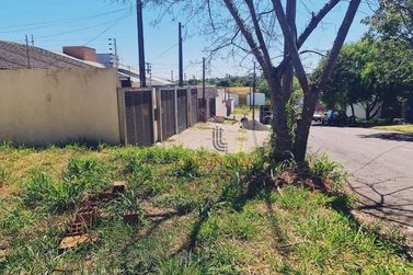 Terreno &agrave; venda - 337m&sup2; - Jardim Ip&ecirc; III