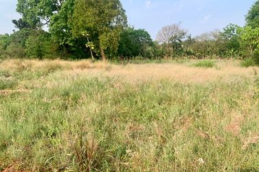 Terreno &agrave; venda - 2m&sup2; - Lote Grande
