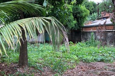 Terreno &agrave; venda - Parque Ouro Verde