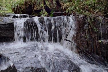 Prefeitura de Gramado reafirma importância da preservação dos recursos hídricos