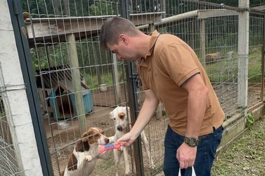 Cães do Centro Municipal de Proteção Animal de Canela recebem brinquedos