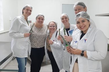 Profissionais da saúde realizam capacitação na Farmácia Viva, em Gramado