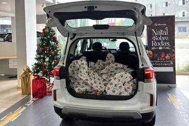 Grupo Sinosserra arrecada mais de mil brinquedos para institui&ccedil;&otilde;es sociais