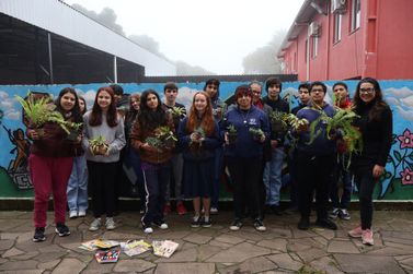 Biblioteca P&uacute;blica de Nova Petr&oacute;polis promove o 19&ordm; Doe um Livro, Adote uma Planta