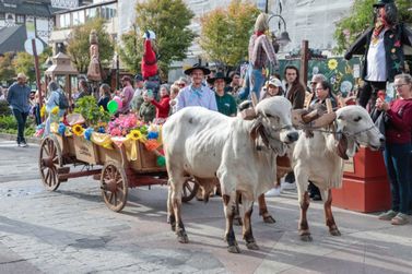 Desfile de Carretas ser&aacute; atra&ccedil;&atilde;o na 35&ordf; Festa da Col&ocirc;nia de Gramado neste s&aacute;bado (9)
