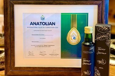 Olivas de Gramado conquista medalha de ouro na Turquia, &ldquo;terra natal&rdquo; do azeite de oliva