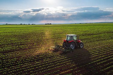 Prefeitura de Nova Petr&oacute;polis convida produtores rurais para participar do Dia de Campo