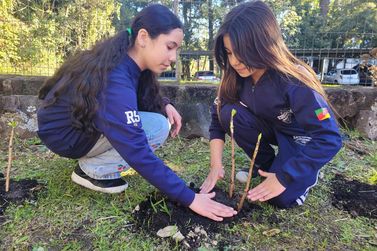 Projeto Hort&ecirc;nsia conclui 1&ordf; etapa com alunos envolvidos no plantio de mudas em Gramado